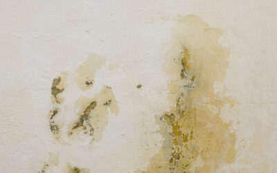 Ázik a plafon? Ne hagyja, hogy nagyobb baj legyen belőle